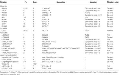 Clinical and Genetic Characteristics of Chinese Children With GLUT1 Deficiency Syndrome: Case Report and Literature Review